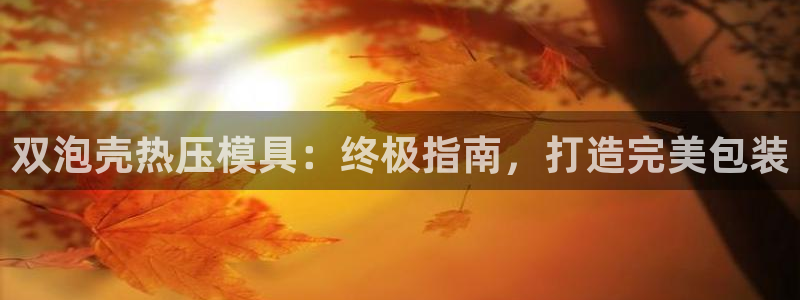 易倍EMC网址：双泡壳热压模具：终极指南，打造完美包装