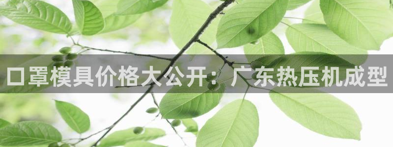 低频的emc用什么滤波：口罩模具价格大公开：广东热压机成