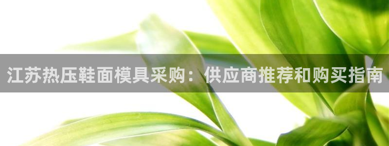 emc易倍官网首页进入：江苏热压鞋面模具采购：供应商推荐