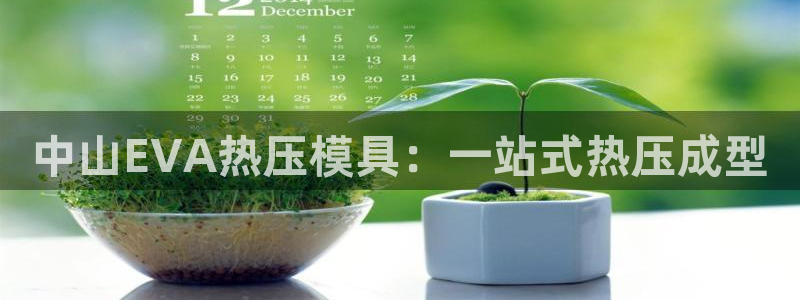 易倍易倍单词官方网站
