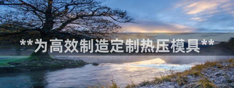 易倍申竞品：**为高效制造定制热压模具**