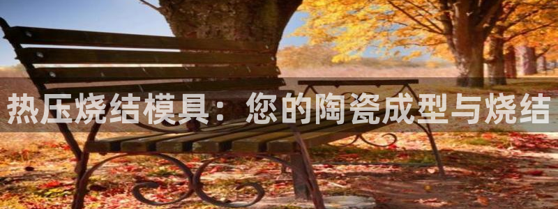 易倍纤价格