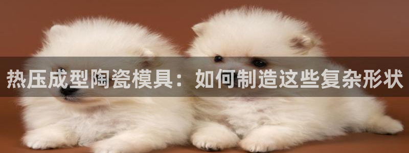 武汉易倍捷科技有限公司