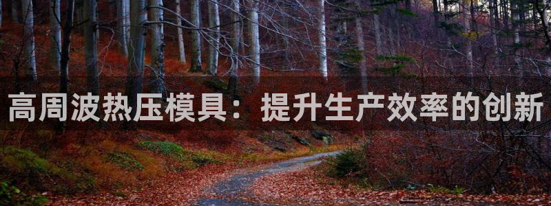 易倍纤多少钱：高周波热压模具：提升生产效率的创新