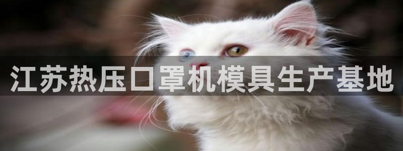 易倍纤代餐粉能减肥吗