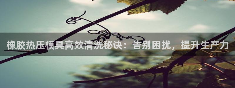 易倍企业管理软件：橡胶热压模具高效清洗秘诀：告别困扰，提