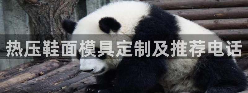 易倍申多少钱
