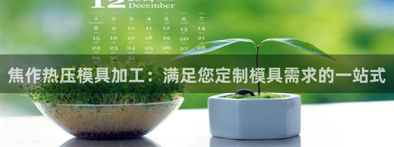 易倍纤酵素效果好吗：焦作热压模具加工：满足您定制模具需求
