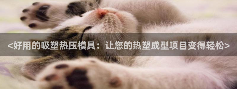易倍易趣网：<好用的吸塑热压模具：让您的热塑成型项目变得