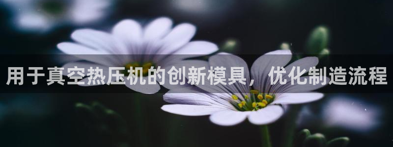 emc软件下载：用于真空热压机的创新模具，优化制造流程