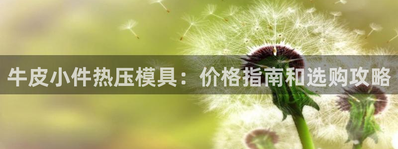 易倍单词官方网站登录：牛皮小件热压模具：价格指南和选购攻