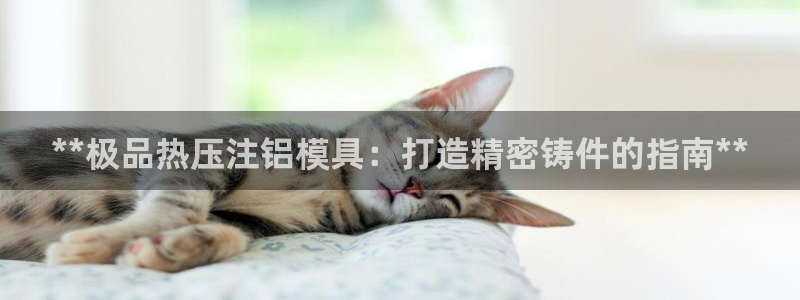 低频的emc用什么滤波：**极品热压注铝模具：打造精密铸