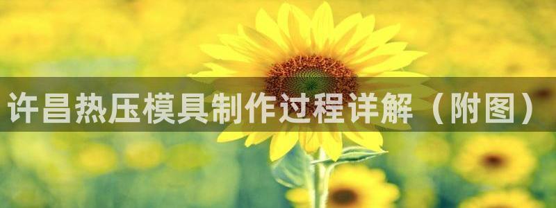 北京易倍思教育科技有限公司