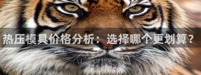 易倍emc网址网页版本登陆：热压模具价格分析：选择哪个更