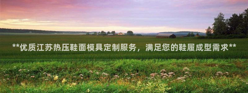 emc全站下载：**优质江苏热压鞋面模具定制服务，满足您