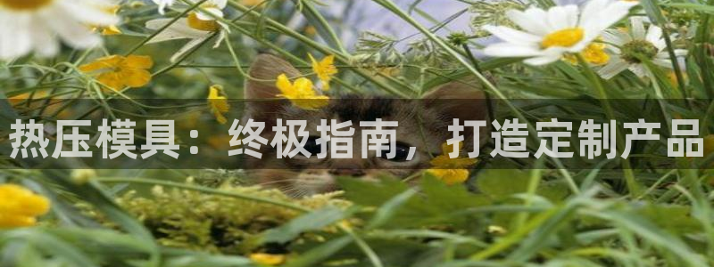 emc平台：热压模具：终极指南，打造定制产品