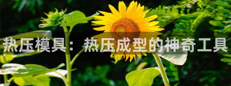 emcapp下载普通下载