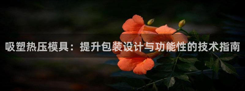 易倍网络技术有限公司是干嘛的：吸塑热压模具：提升包装设计
