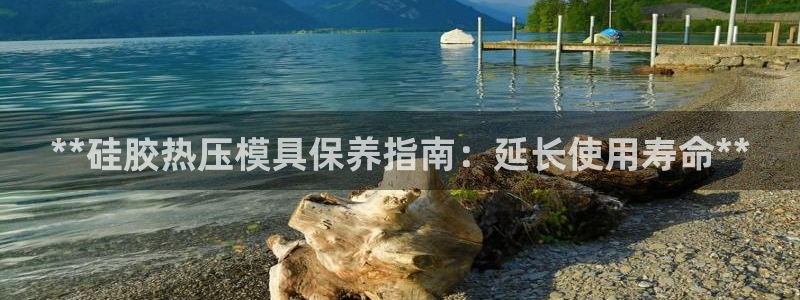 易倍申在中国成功上市