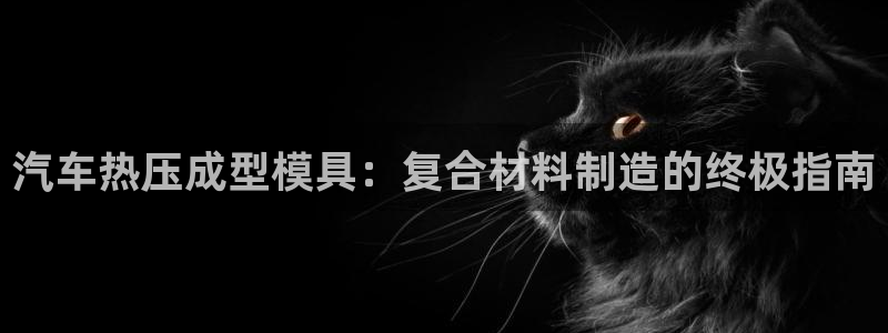 南京易倍易电子科技有限公司：汽车热压成型模具：复合材料制