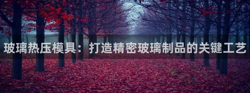 emc全站ag：玻璃热压模具：打造精密玻璃制品的关键工艺