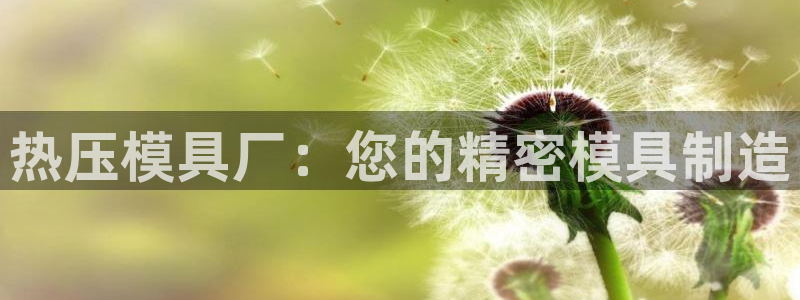 易倍纤瘦身三部曲的价格
