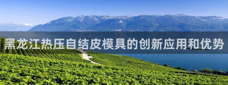 易倍易趣网