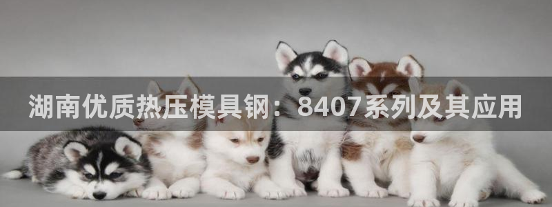 易倍单词平台