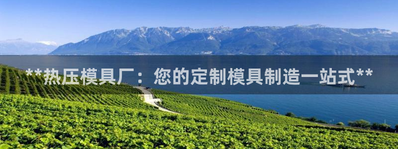易倍单词app官网：**热压模具厂：您的定制模具制造一站