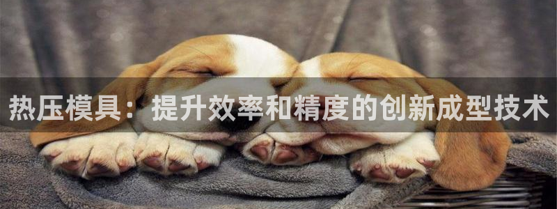 emc参数：热压模具：提升效率和精度的创新成型技术