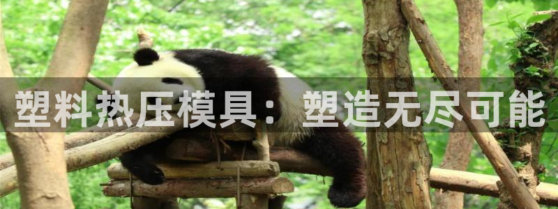 emc易倍官网app：塑料热压模具：塑造无尽可能