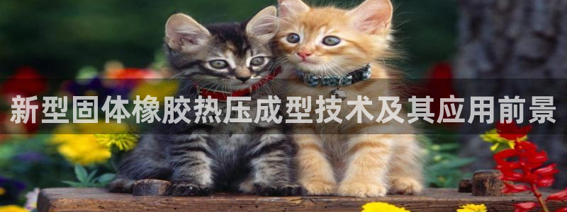 易倍达科技有限公司代运营：新型固体橡胶热压成型技术及其应