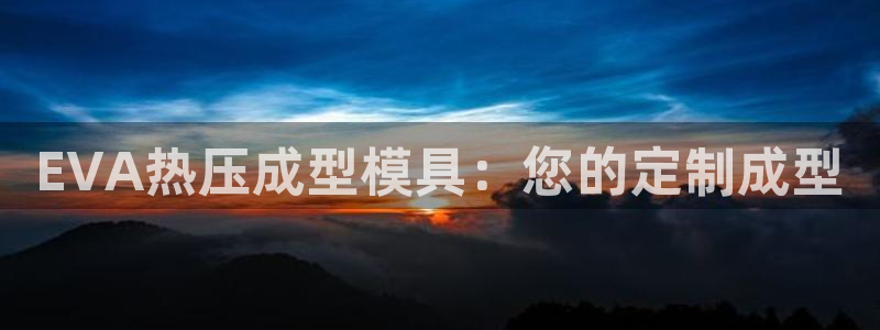 易倍企业管理软件：EVA热压成型模具：您的定制成型