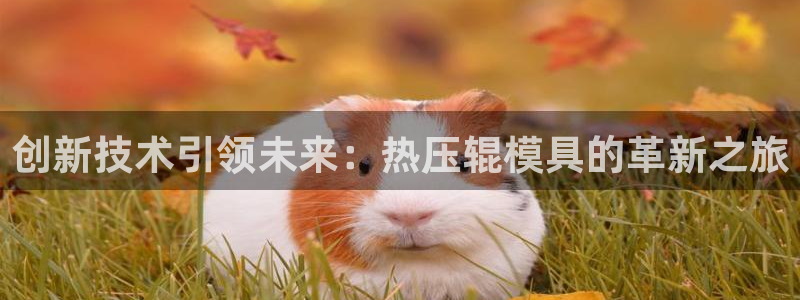 emc服务器是干啥的