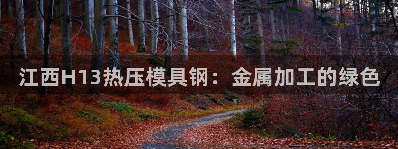 emc易倍网站是多少：江西H13热压模具钢：金属加工的绿