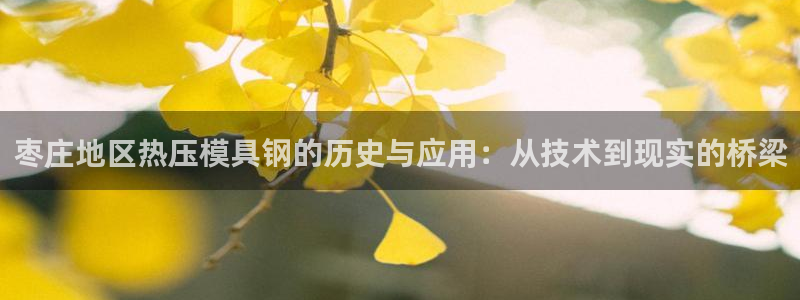 易倍电竞：枣庄地区热压模具钢的历史与应用：从技术到现实的