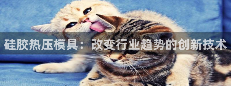 易倍纤代餐奶昔减肥效果怎么样：硅胶热压模具：改变行业趋势