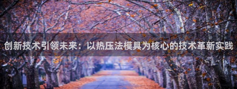 emc低频：创新技术引领未来：以热压法模具为核心的技术革