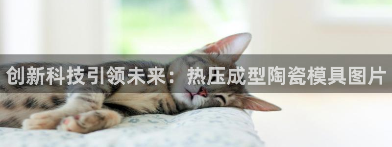 易倍网络技术有限公司招聘：创新科技引领未来：热压成型陶瓷