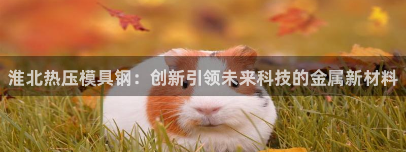易倍申安理申区别：淮北热压模具钢：创新引领未来科技的金属