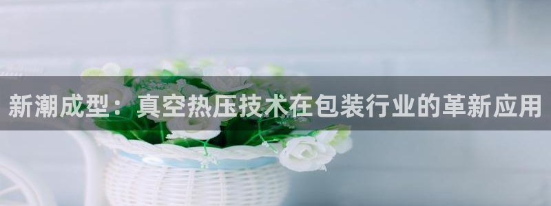 易倍申多少钱一盒：新潮成型：真空热压技术在包装行业的革新