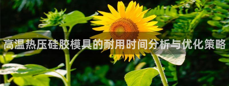 EMC易倍官网招聘：高温热压硅胶模具的耐用时间分析与优化