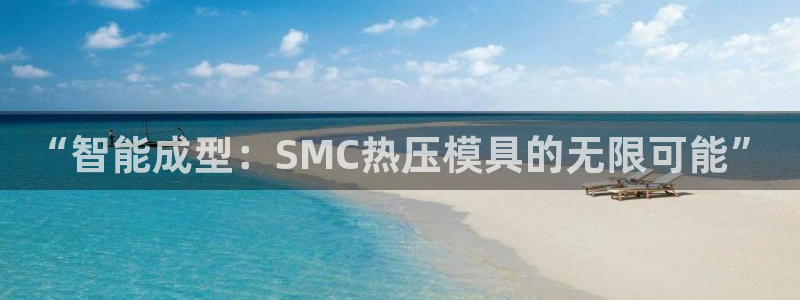 武汉易倍捷科技有限公司：“智能成型：SMC热压模具的无限