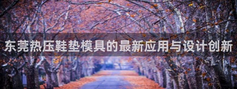武汉易倍捷科技有限公司：东莞热压鞋垫模具的最新应用与设计