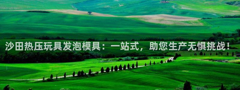 emc32软件使用说明：沙田热压玩具发泡模具：一站式，助