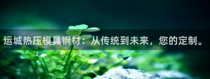易倍申价格：运城热压模具钢材：从传统到未来，您的定制。