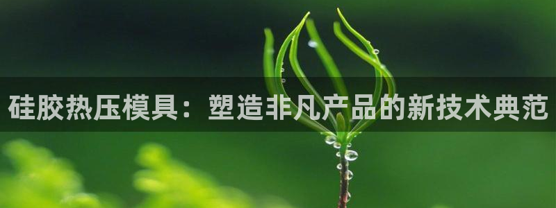 emc全站网页版