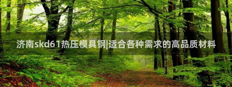 emc倍频超了：济南skd61热压模具钢|适合各种需求的