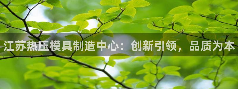南京易倍易电子科技有限公司：江苏热压模具制造中心：创新引
