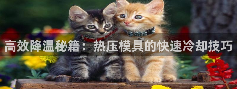 emc易倍官网app下载：高效降温秘籍：热压模具的快速冷